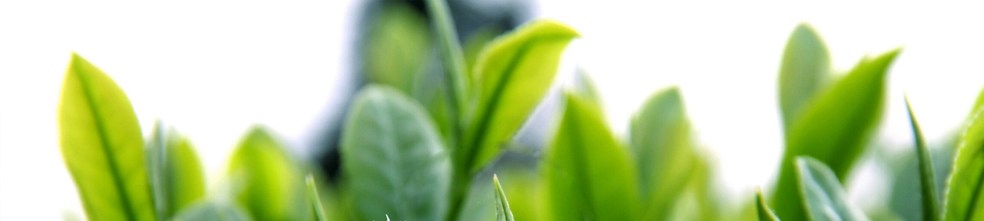 tp钱包app官方下载安卓版